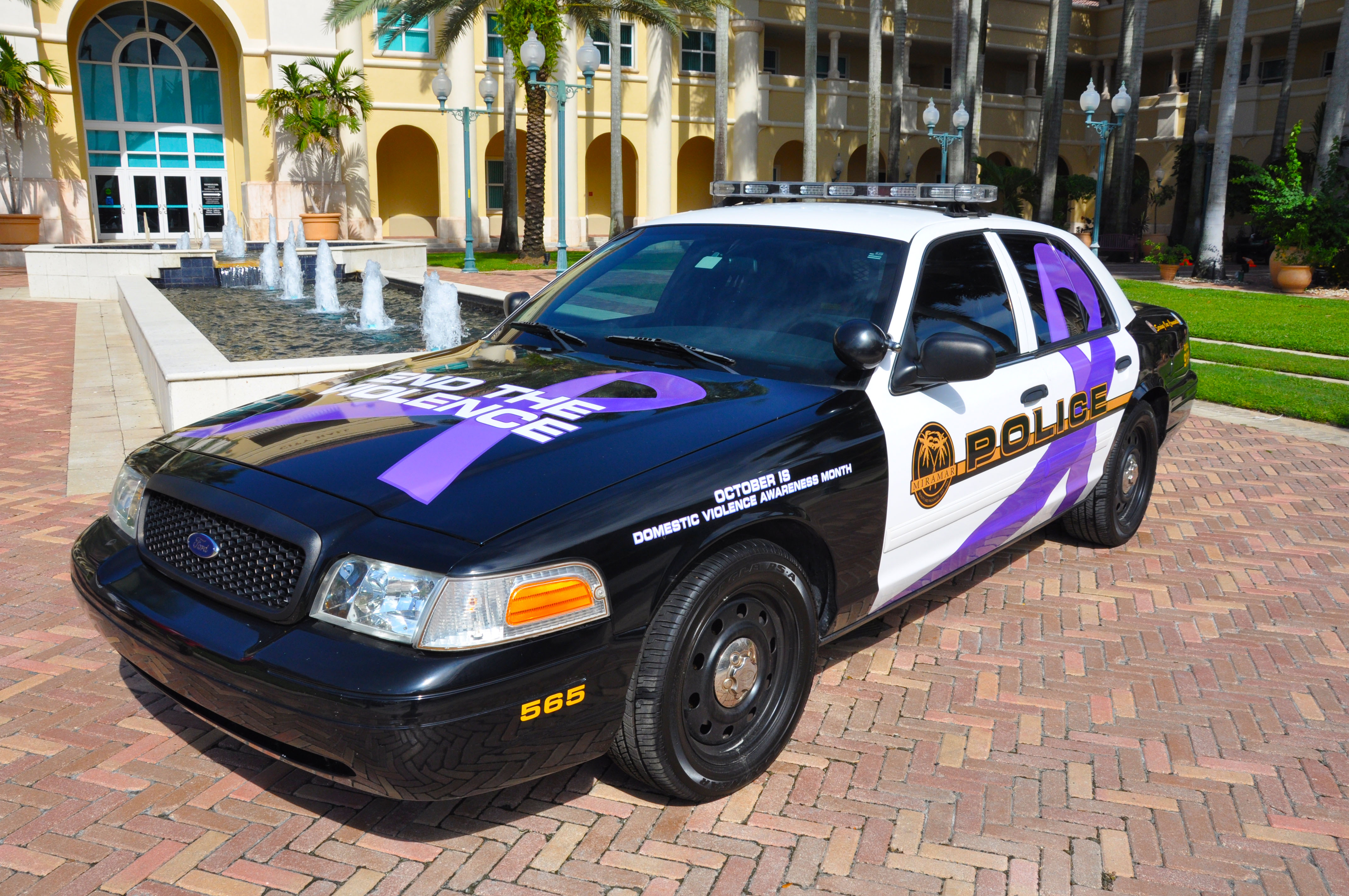 domestic violence car